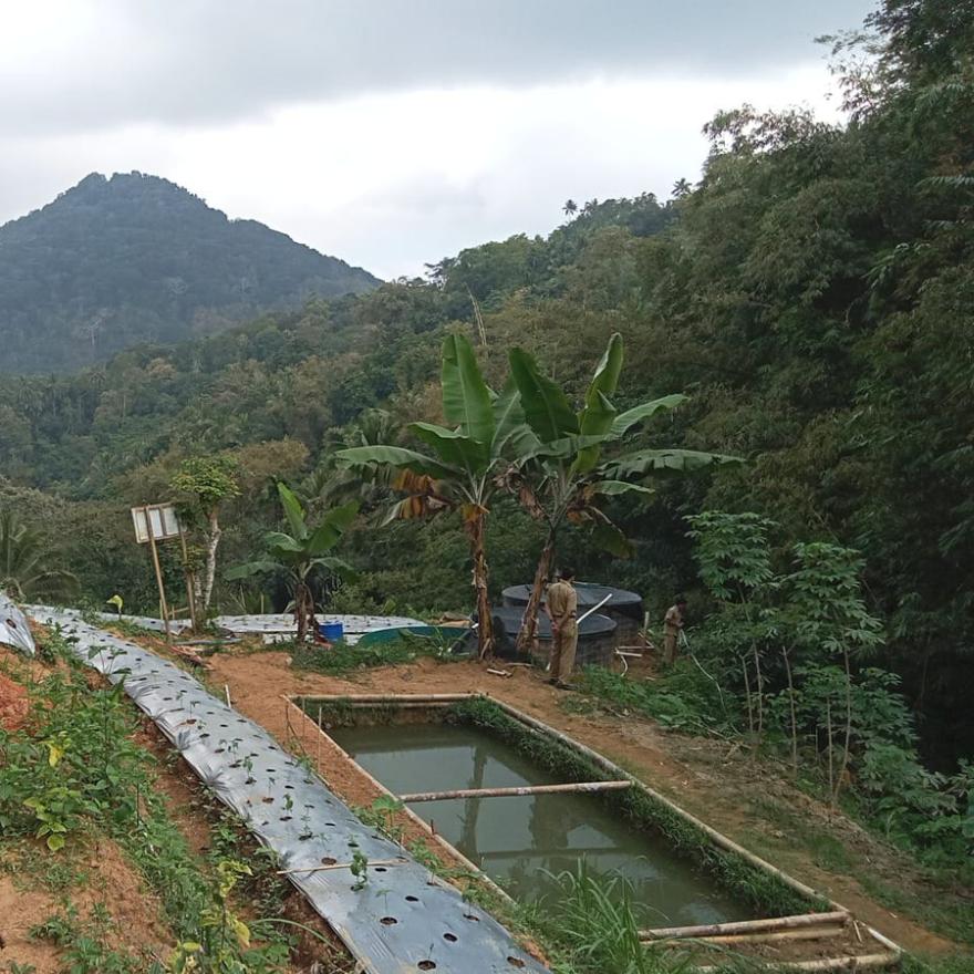 CEK LOKASI TATA KELOLA PERTANAHAN 2026
